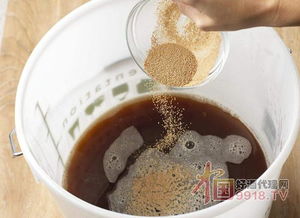 啤酒酵母 被低估的營(yíng)養(yǎng)寶庫(kù)，不止于緩解口腔潰瘍